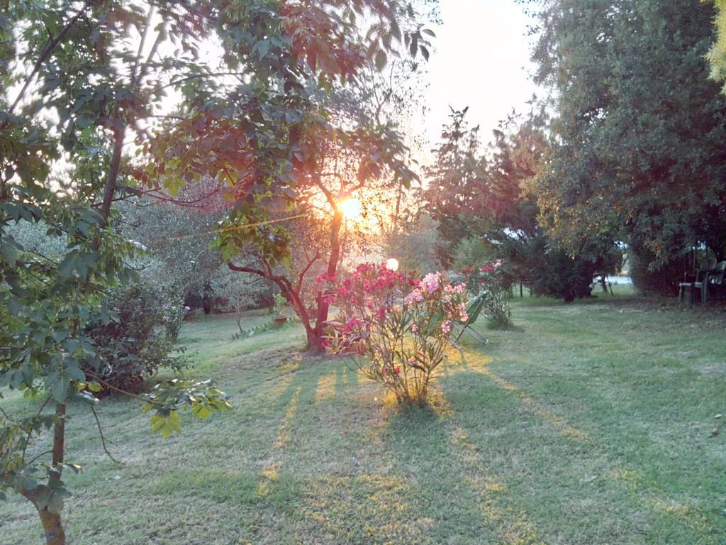 Agriturismo La Torre Di Monsindoli سيينا المظهر الخارجي الصورة